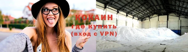 соль ск Арсеньев